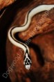 /album/photogallery/dsc-0128-2-watermarked-jpg/